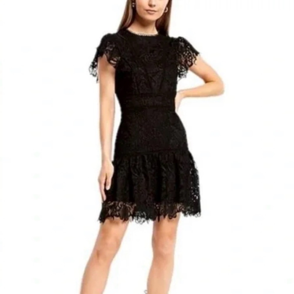 Express Lace Flutter Dress